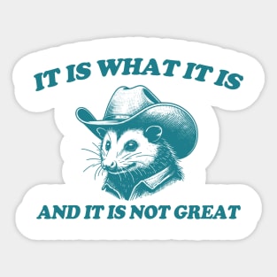 It Is What It Is And It Is Not Great Funny Possum Sticker